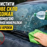 Як швидко очистити лобове скло від комах за допомогою мінералки