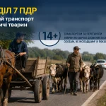 Розділ 7 ПДР України — гужовий транспорт і погоничі тварин