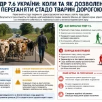 ПДР 7.6 — переганяння стада тварин дорогою у світлу пору доби