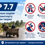 ПДР 7.7 — заборони для водіїв гужового транспорту та погоничів тварин