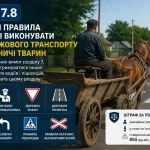 ПДР 7.8 — водій гужового транспорту виконує сигнали світлофора та дорожні знаки